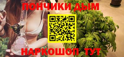 шишки Берёзовский