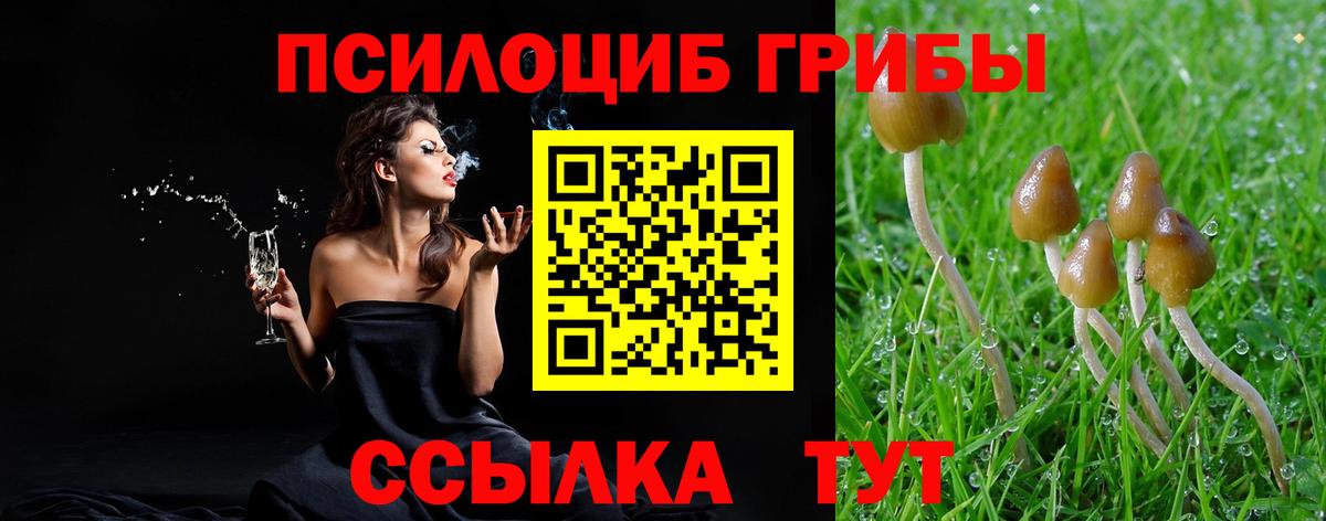 Псилоцибиновые грибы Psilocybine cubensis  Вход с VPN  купить наркотик  Калининград 